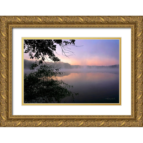 Shelley Lake Fog Gold Ornate Wood Framed Art Print with Double Matting by Hausenflock, Alan