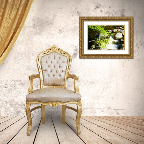 Crabtree Creek Gold Ornate Wood Framed Art Print with Double Matting by Hausenflock, Alan