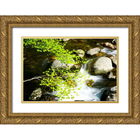 Crabtree Creek Gold Ornate Wood Framed Art Print with Double Matting by Hausenflock, Alan