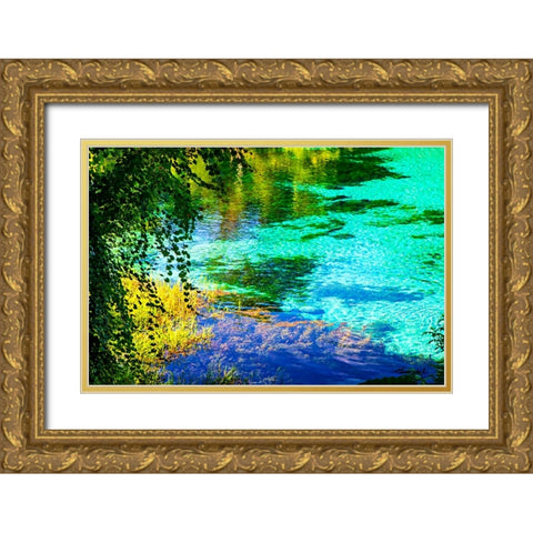 Rainbow River Gold Ornate Wood Framed Art Print with Double Matting by Hausenflock, Alan