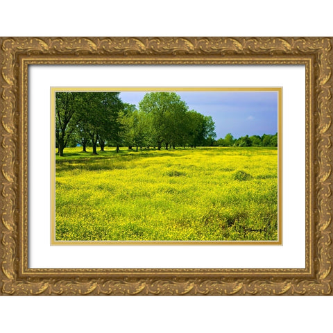 Wildflowers Gold Ornate Wood Framed Art Print with Double Matting by Hausenflock, Alan