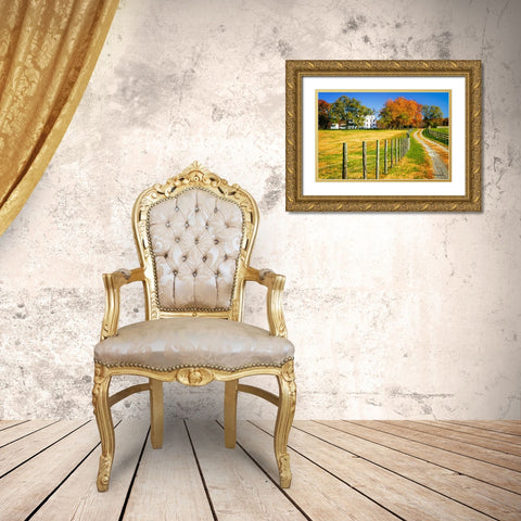 Homestead Gold Ornate Wood Framed Art Print with Double Matting by Hausenflock, Alan