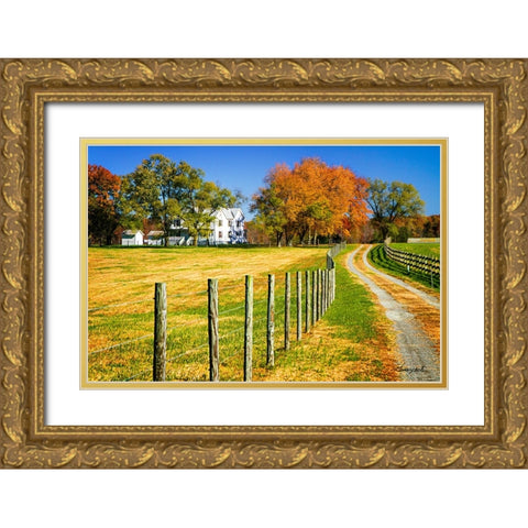 Homestead Gold Ornate Wood Framed Art Print with Double Matting by Hausenflock, Alan
