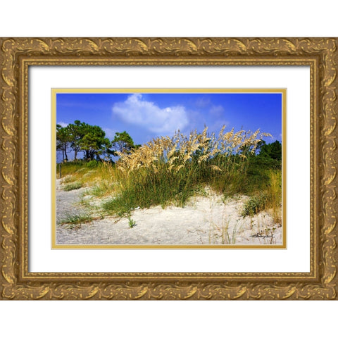 Cape Lookout Island Gold Ornate Wood Framed Art Print with Double Matting by Hausenflock, Alan