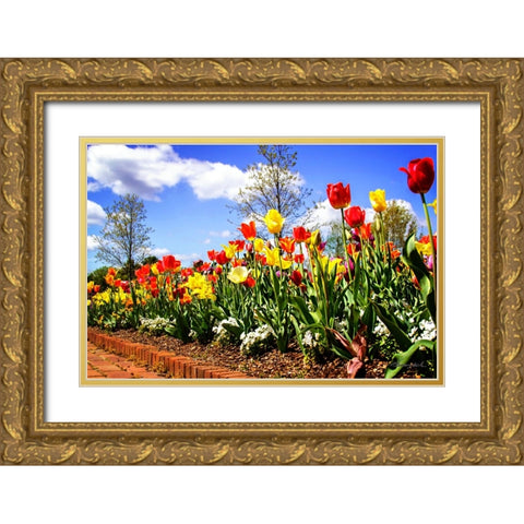 Flower Border II Gold Ornate Wood Framed Art Print with Double Matting by Hausenflock, Alan