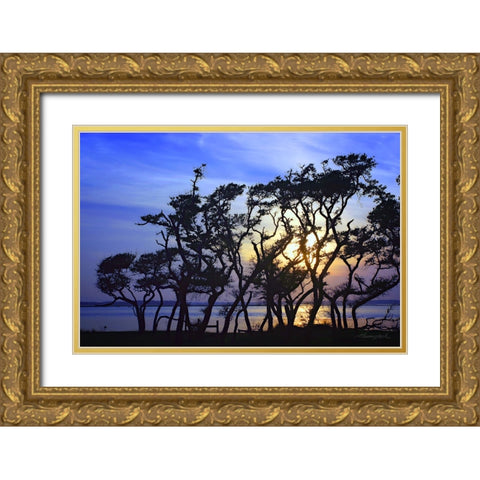 Lennoxville Point Gold Ornate Wood Framed Art Print with Double Matting by Hausenflock, Alan