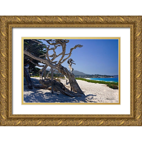 Carmel Beach Gold Ornate Wood Framed Art Print with Double Matting by Hausenflock, Alan