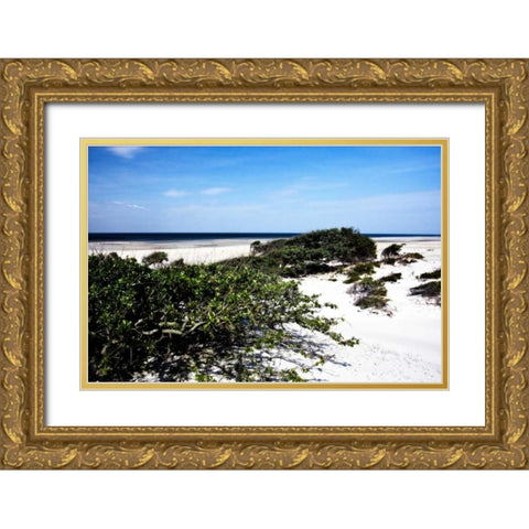 Cedar Island II Gold Ornate Wood Framed Art Print with Double Matting by Hausenflock, Alan