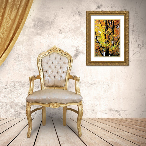 Autumn Color I Gold Ornate Wood Framed Art Print with Double Matting by Hausenflock, Alan