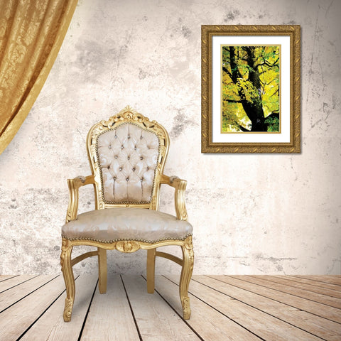 Autumn Color II Gold Ornate Wood Framed Art Print with Double Matting by Hausenflock, Alan