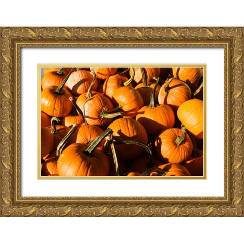 Pumpkins Gold Ornate Wood Framed Art Print with Double Matting by Hausenflock, Alan