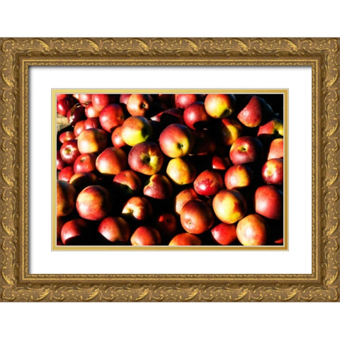 Apples Gold Ornate Wood Framed Art Print with Double Matting by Hausenflock, Alan