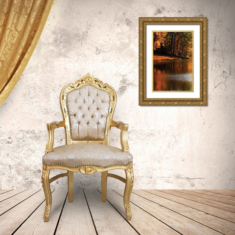 Gold Reflections Gold Ornate Wood Framed Art Print with Double Matting by Hausenflock, Alan