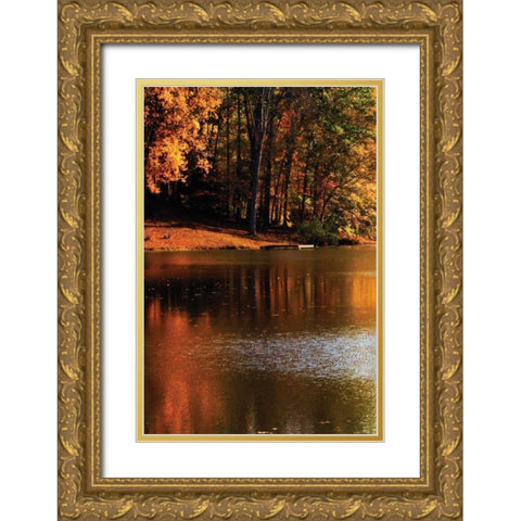 Gold Reflections Gold Ornate Wood Framed Art Print with Double Matting by Hausenflock, Alan