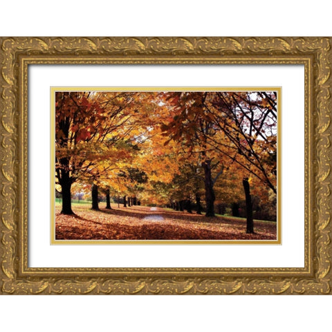 Maymont Maples II Gold Ornate Wood Framed Art Print with Double Matting by Hausenflock, Alan