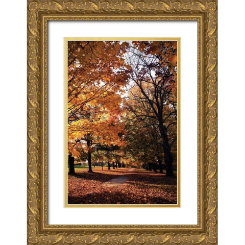 Maymont Maples III Gold Ornate Wood Framed Art Print with Double Matting by Hausenflock, Alan