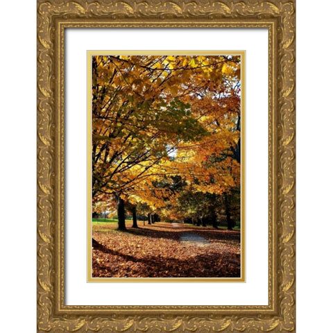 Maymont Maples IV Gold Ornate Wood Framed Art Print with Double Matting by Hausenflock, Alan