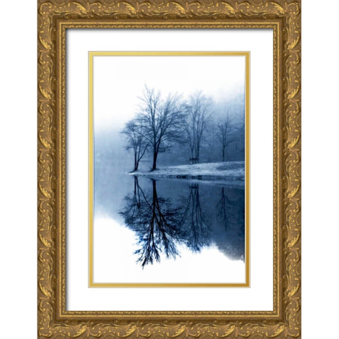 Fog on the Lake I Gold Ornate Wood Framed Art Print with Double Matting by Hausenflock, Alan