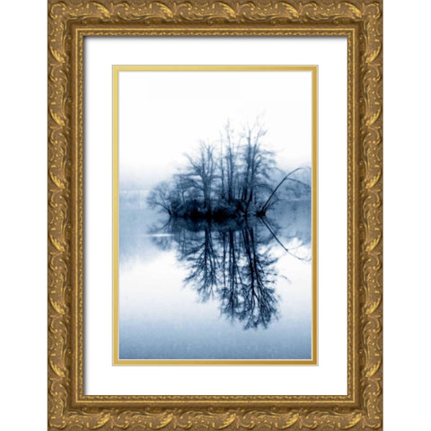 Fog on the Lake II Gold Ornate Wood Framed Art Print with Double Matting by Hausenflock, Alan