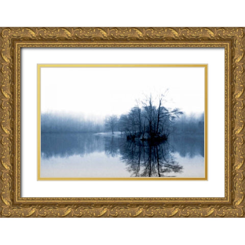 Fog on the Lake IV Gold Ornate Wood Framed Art Print with Double Matting by Hausenflock, Alan