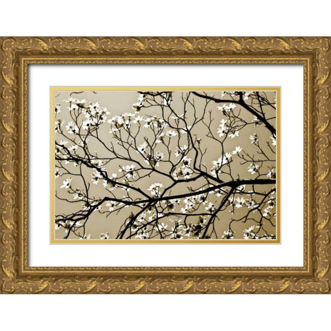 Dogwood I Gold Ornate Wood Framed Art Print with Double Matting by Hausenflock, Alan