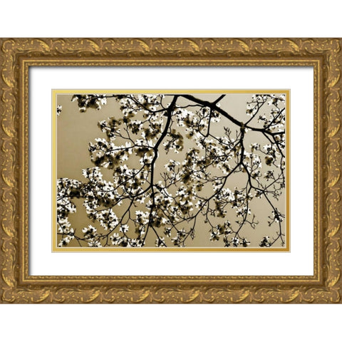 Dogwood II Gold Ornate Wood Framed Art Print with Double Matting by Hausenflock, Alan
