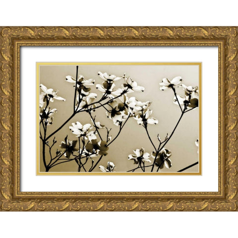 Dogwood III Gold Ornate Wood Framed Art Print with Double Matting by Hausenflock, Alan