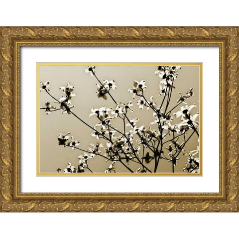 Dogwood IV Gold Ornate Wood Framed Art Print with Double Matting by Hausenflock, Alan
