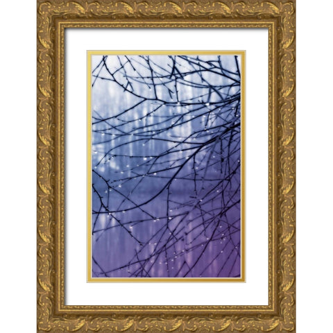 Droplets I Gold Ornate Wood Framed Art Print with Double Matting by Hausenflock, Alan