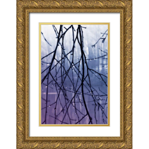 Droplets II Gold Ornate Wood Framed Art Print with Double Matting by Hausenflock, Alan