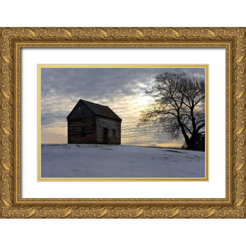 Winter Sky I Gold Ornate Wood Framed Art Print with Double Matting by Hausenflock, Alan