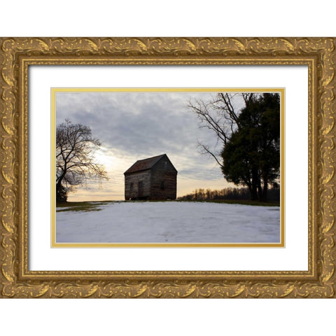 Winter Sky II Gold Ornate Wood Framed Art Print with Double Matting by Hausenflock, Alan