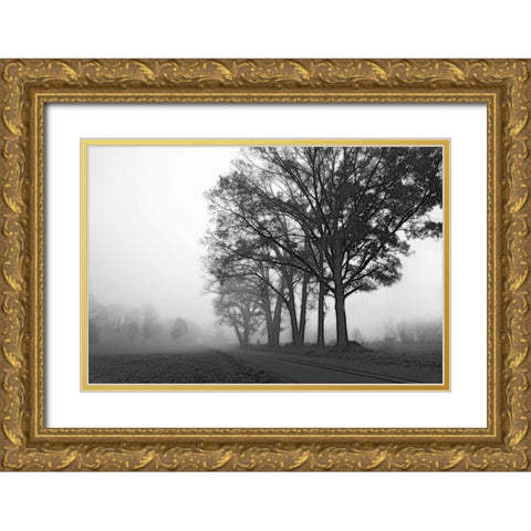 Rural Point Road Gold Ornate Wood Framed Art Print with Double Matting by Hausenflock, Alan