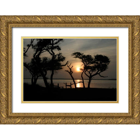 Beaufort I Gold Ornate Wood Framed Art Print with Double Matting by Hausenflock, Alan