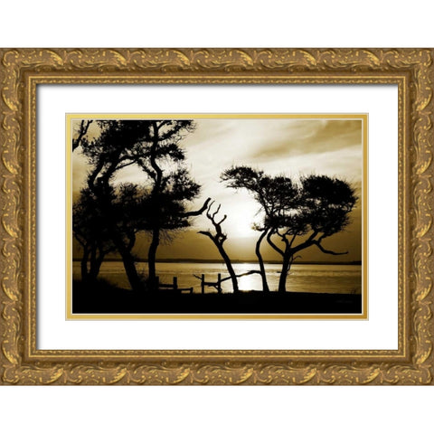 Blissful Shore I Gold Ornate Wood Framed Art Print with Double Matting by Hausenflock, Alan