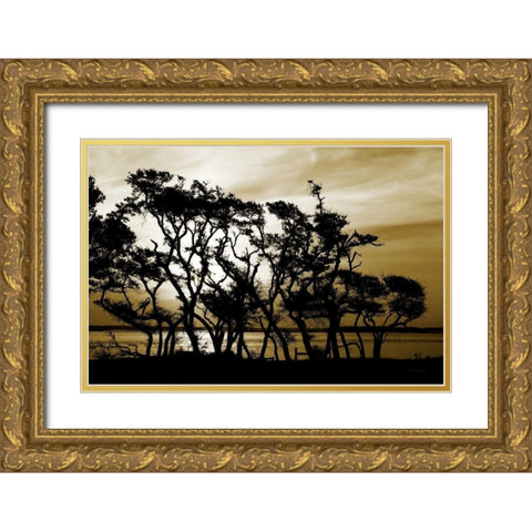 Blissful Shore II Gold Ornate Wood Framed Art Print with Double Matting by Hausenflock, Alan