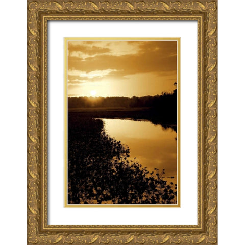 Sunset on the Lake I Gold Ornate Wood Framed Art Print with Double Matting by Hausenflock, Alan