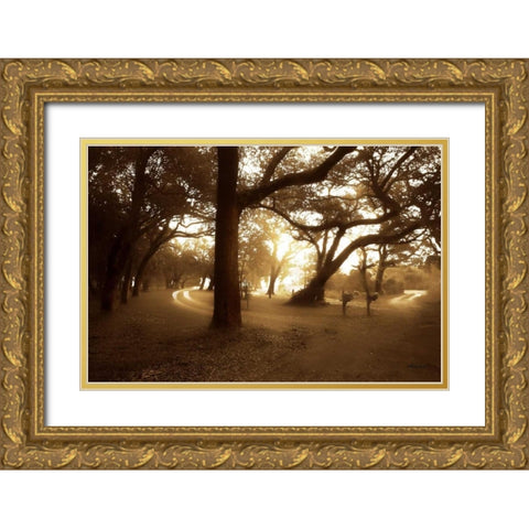 Salvation Retreat I Gold Ornate Wood Framed Art Print with Double Matting by Hausenflock, Alan