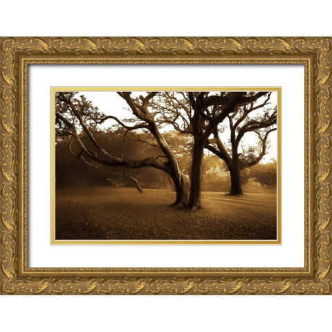 Salvation Retreat II Gold Ornate Wood Framed Art Print with Double Matting by Hausenflock, Alan
