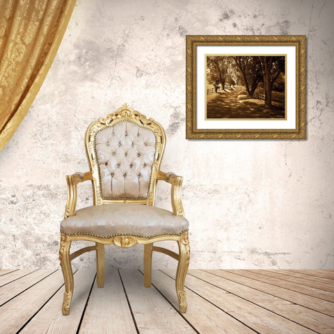 Summer Stroll I Gold Ornate Wood Framed Art Print with Double Matting by Hausenflock, Alan