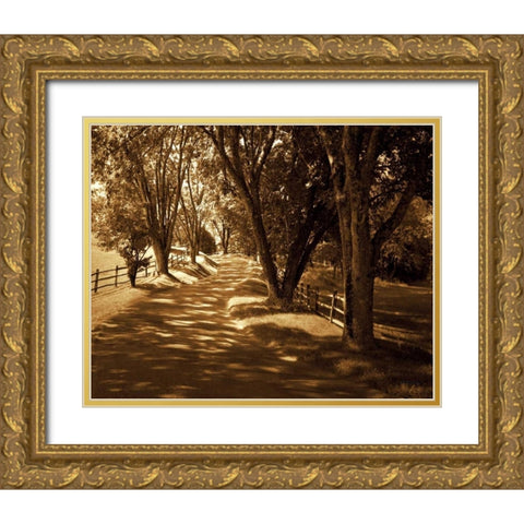 Summer Stroll I Gold Ornate Wood Framed Art Print with Double Matting by Hausenflock, Alan