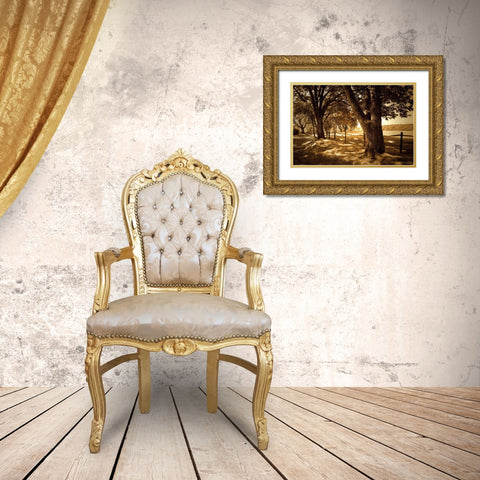 Summer Stroll II Gold Ornate Wood Framed Art Print with Double Matting by Hausenflock, Alan