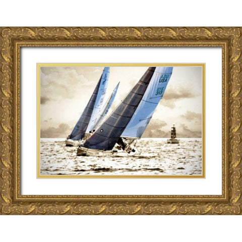Racing Waters I Gold Ornate Wood Framed Art Print with Double Matting by Hausenflock, Alan