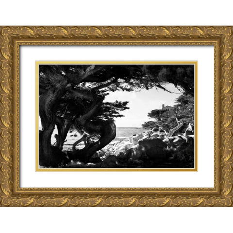 Ocean View I Gold Ornate Wood Framed Art Print with Double Matting by Hausenflock, Alan
