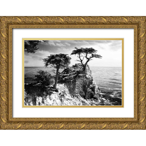 Ocean Cliff I Gold Ornate Wood Framed Art Print with Double Matting by Hausenflock, Alan