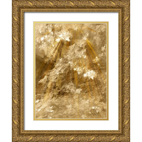 Fractal Light II Gold Ornate Wood Framed Art Print with Double Matting by Hausenflock, Alan