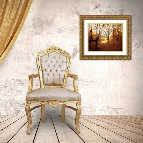 Peaceful I Gold Ornate Wood Framed Art Print with Double Matting by Hausenflock, Alan