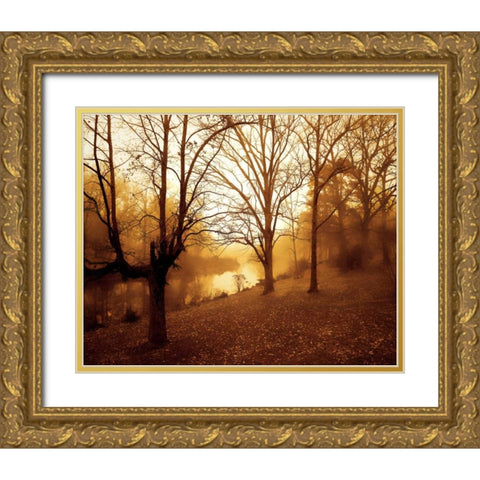 Peaceful I Gold Ornate Wood Framed Art Print with Double Matting by Hausenflock, Alan