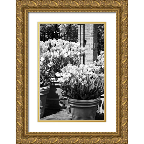 Spring Tulips I Gold Ornate Wood Framed Art Print with Double Matting by Hausenflock, Alan