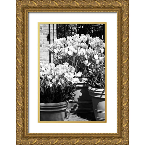 Spring Tulips II Gold Ornate Wood Framed Art Print with Double Matting by Hausenflock, Alan